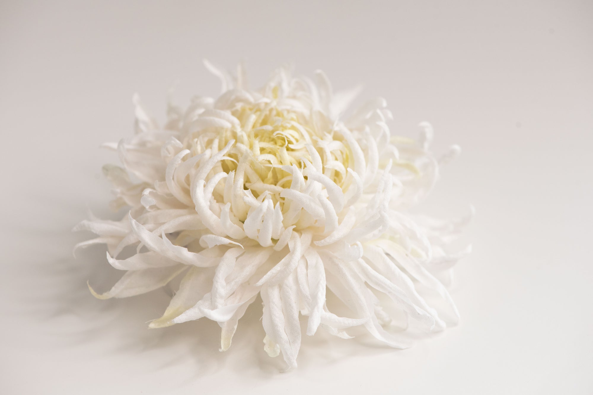 Large chrysanthemum flower brooch - ANTHEMON
