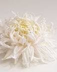 Large chrysanthemum flower brooch - ANTHEMON