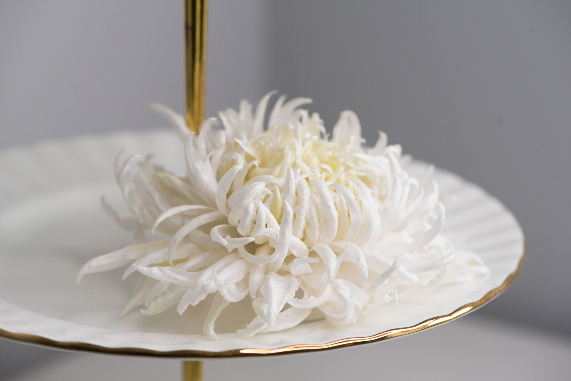Large chrysanthemum flower brooch - ANTHEMON
