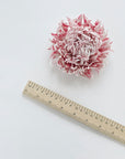 A pink patterned chrysanthemum flower placed on a white background next to a wooden ruler for scale.