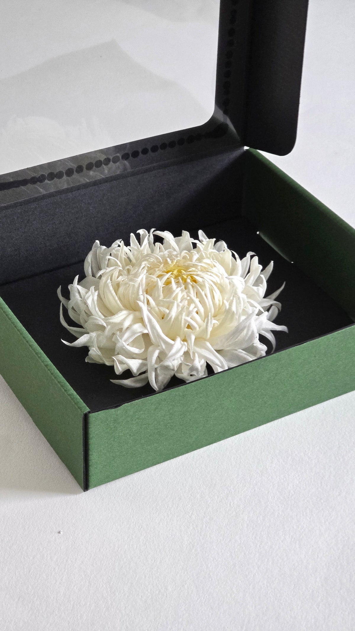 Chrysanthemum brooch in gift box