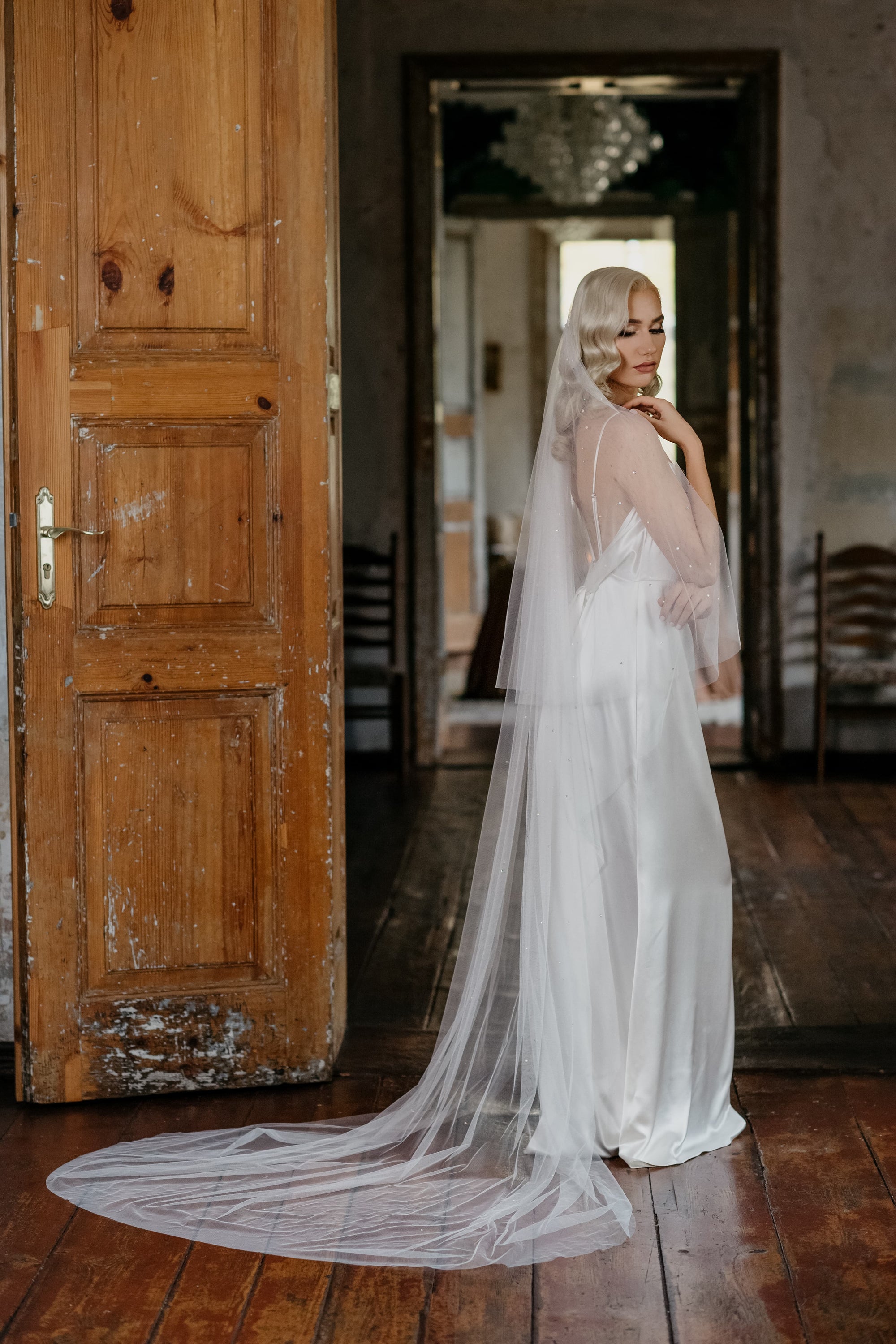 NEVE drop veil cathedral length crystal gradient pattern flowing drape back view