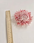 A pink and soft white chrysanthemum flower placed next to a wooden ruler on a plain white background, likely shown for size reference.