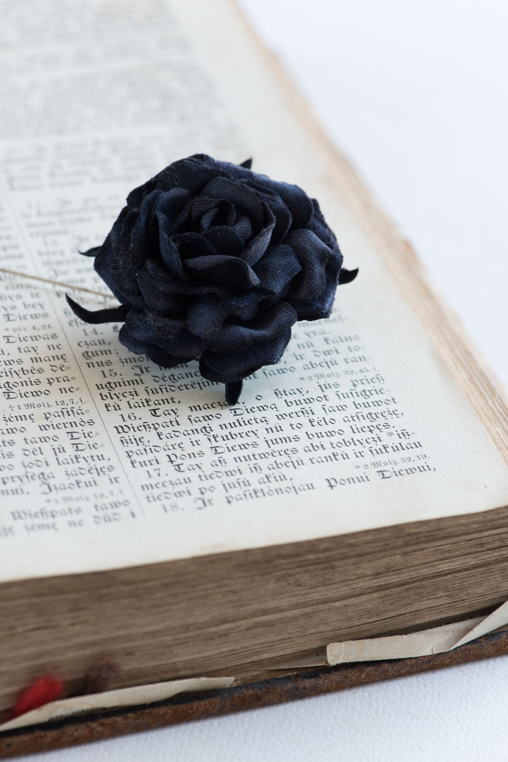 Black rose lapel pin on an open book